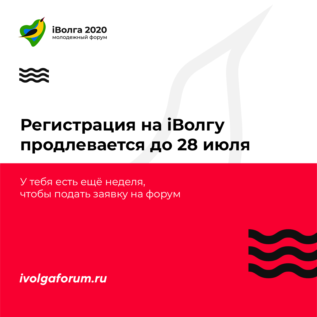iVolga1